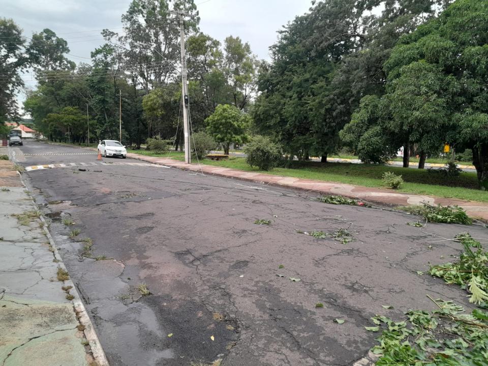 Foto 9 de 29 — Tempestade derruba dezenas de árvores e causa prejuízos em Boa Esperança do Sul